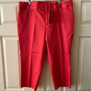 NWT Jones New York Signature Stretch Woven Pants Watermelon Women’s 16